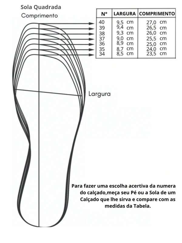 Chinelo Rasteirinha Feminino Ana